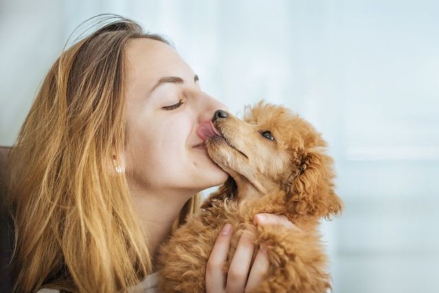 Warum schnüffelt mein Hund an meinem Atem?